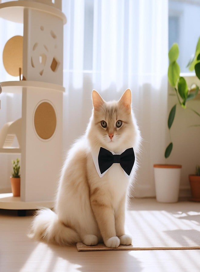 Qulkws 2 Pack Dog Cat Tuxedo Collar Cute Tux Puppies Dog Bowtie Cat Bow Tie Tux Collar Adjustable Formal Pet Cats Necktie for Neck Girth 9.3"-12" Dogs Cats Birthday Wedding Costumes - Image 3